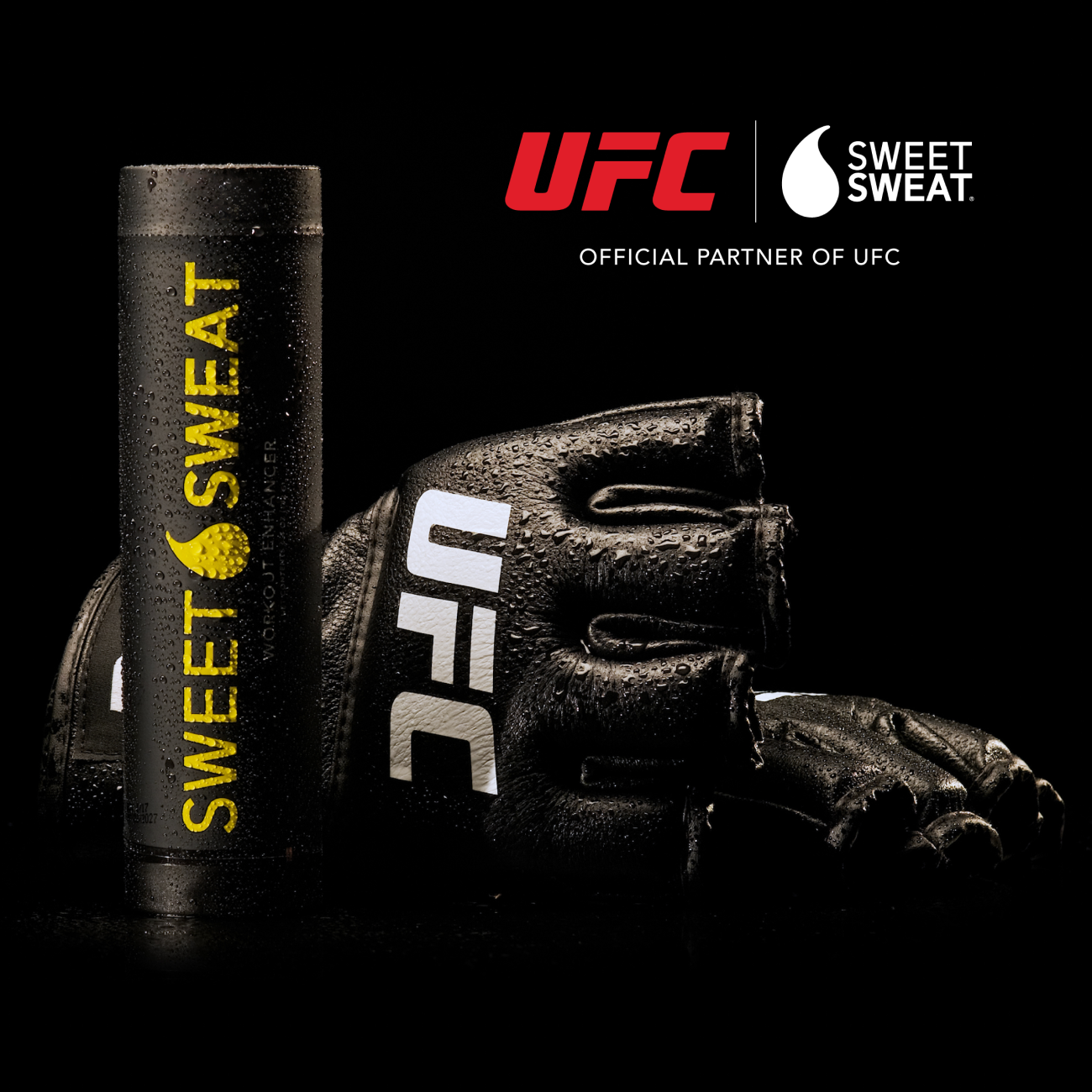 UFC Gloves and Stick